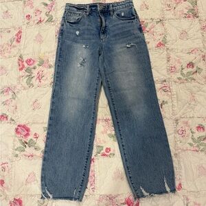 Joe's Jeans Light Blue Straight Leg Denim